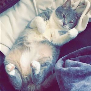 Meet your Posher, Mallory